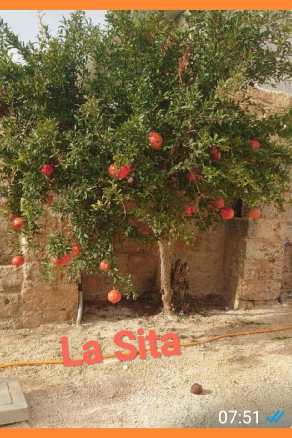 Ferienwohnung La Sita Neviano Exterior foto